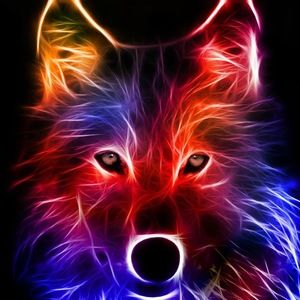 Meet your Posher, Peyton